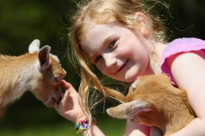 Girl and Baby Goats