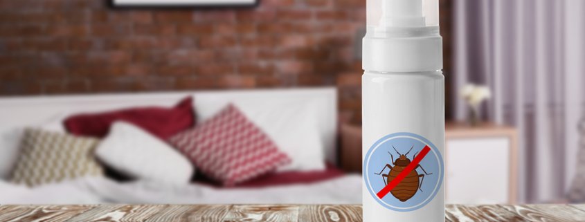 prevent bed bugs